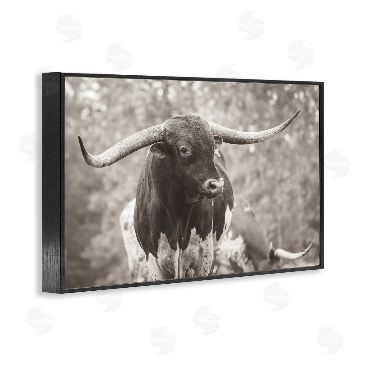 Longhorn's Gaze Photography Black Frame Print Wall Art, Home Decor by Nathan Larson