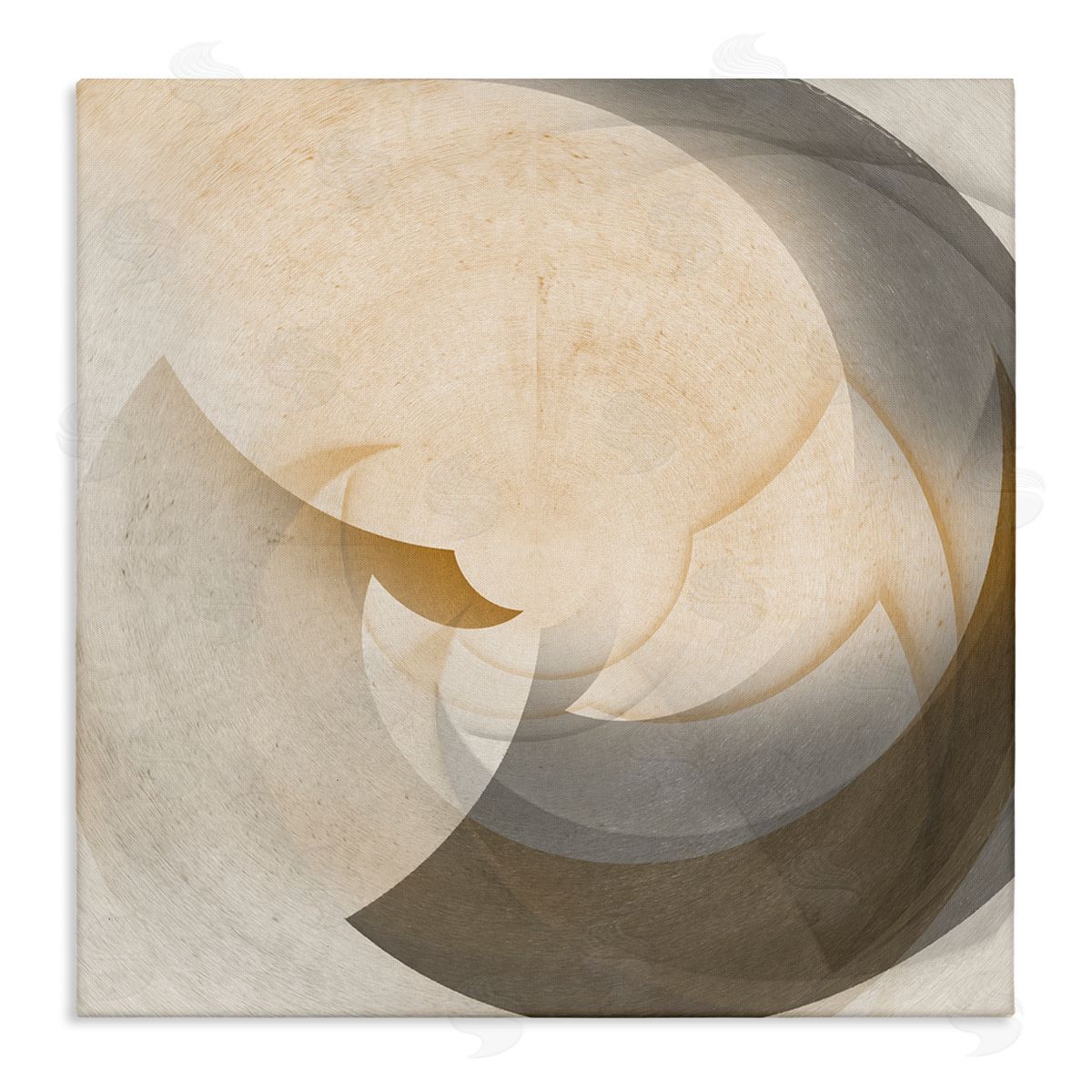 Noah Bay Shadowed Form Curve Canvas Wall Art Print