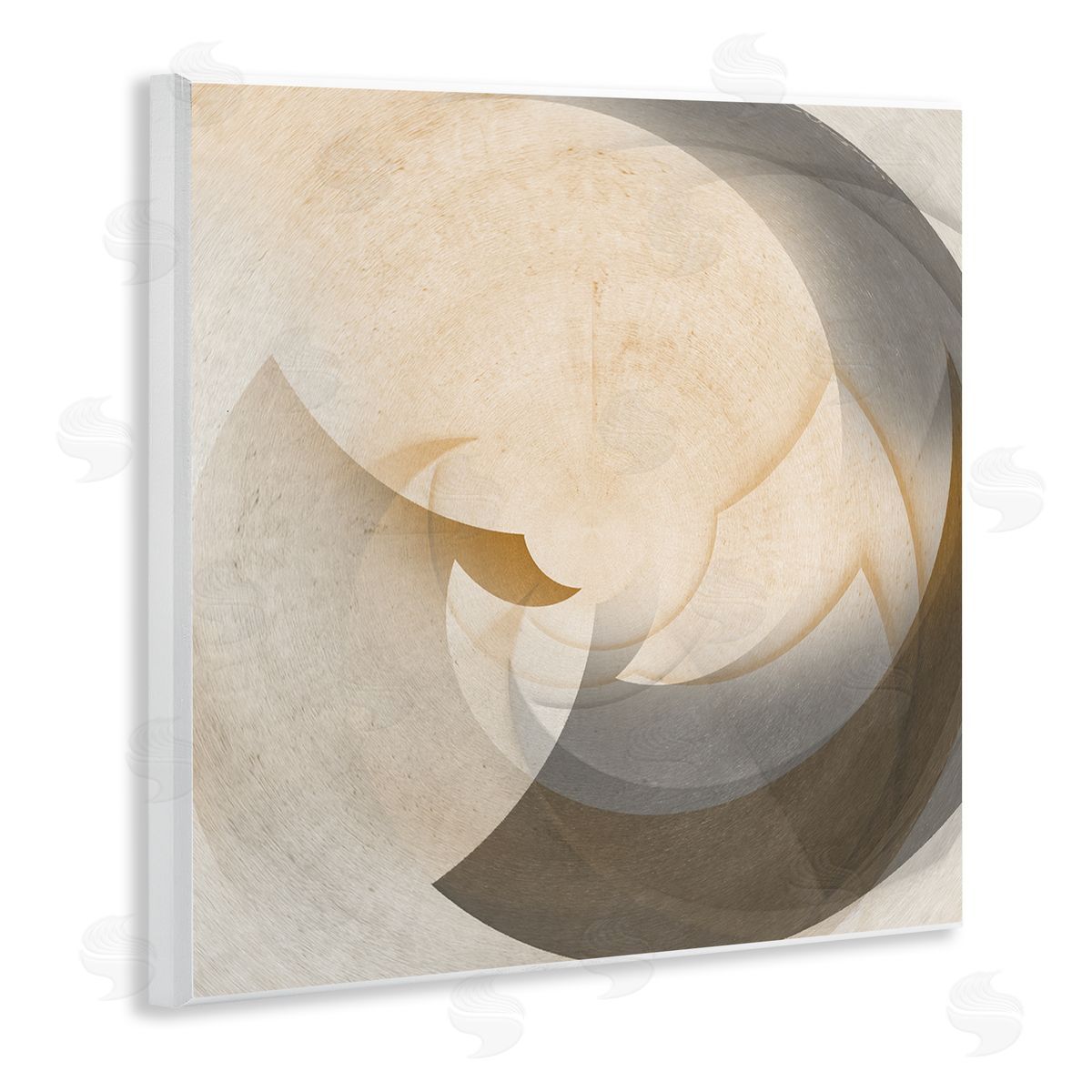 Noah Bay Shadowed Form Curve Wooden Wall Plaque Art Print