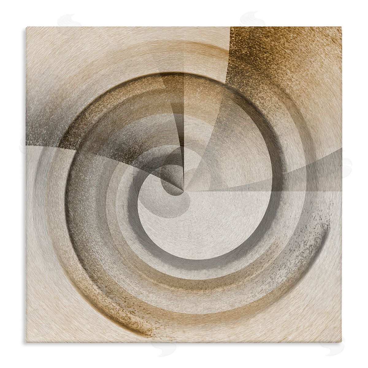Noah Bay Spinning Centric Circle Canvas Wall Art Print