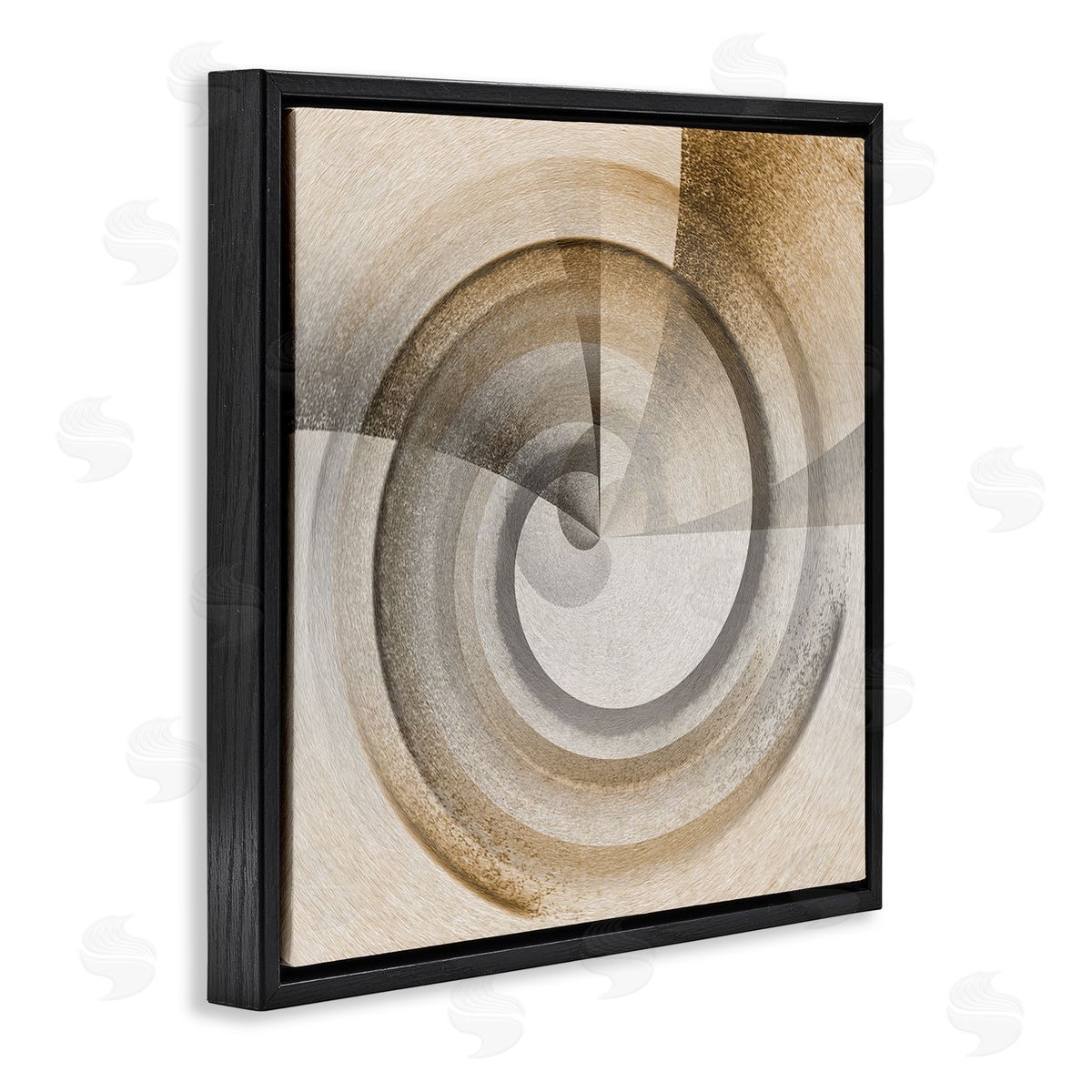 Noah Bay Spinning Centric Circle Black Floating Frame Canvas Wall Art Print
