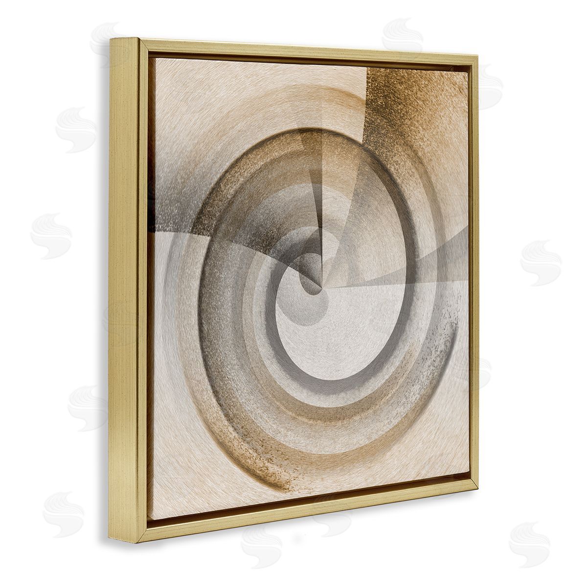 Noah Bay Spinning Centric Circle Gold Floating Frame Canvas Wall Art Print