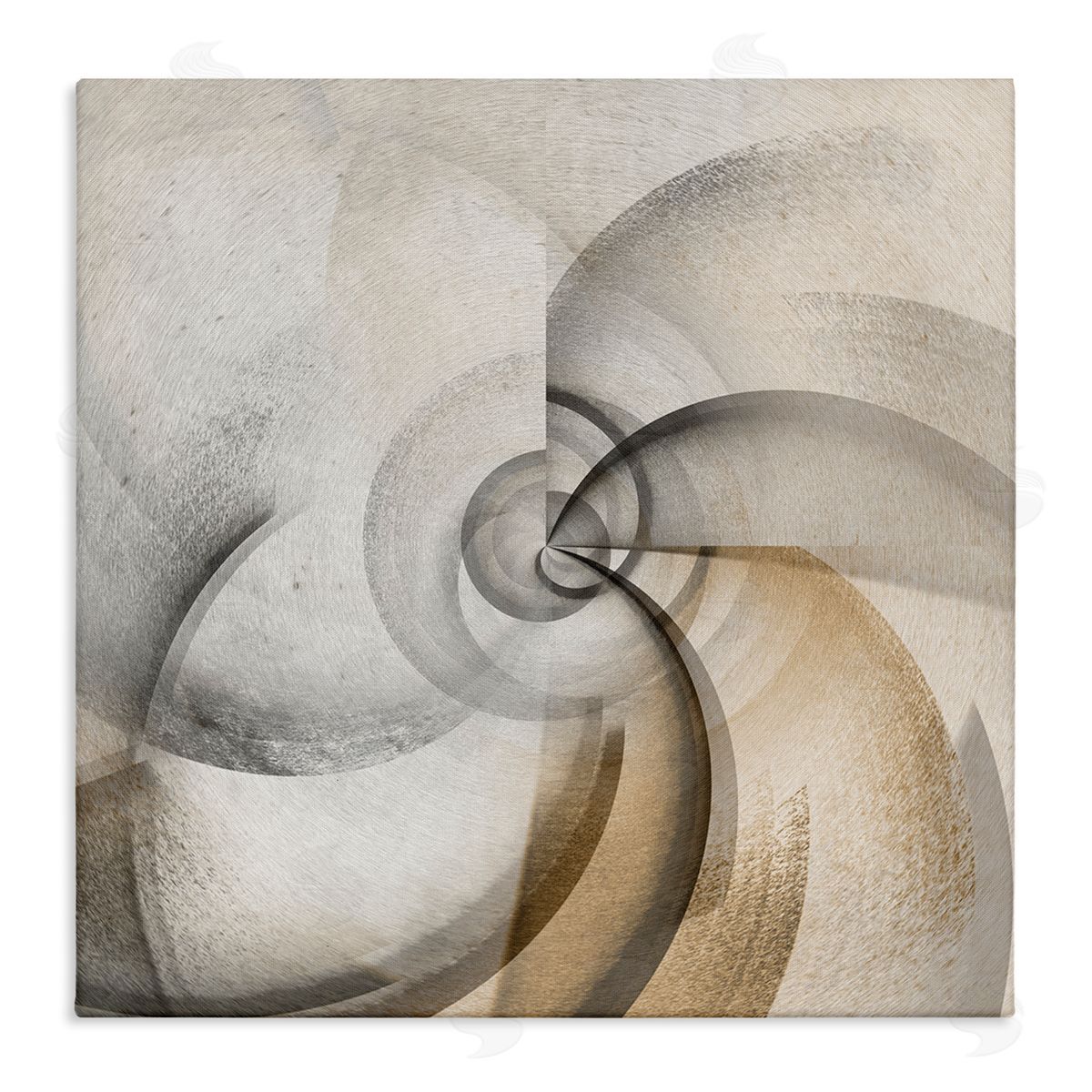 Noah Bay Spinning Vortex Abstract Canvas Wall Art Print
