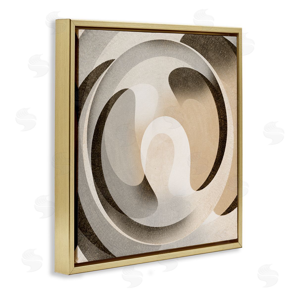 Noah Bay Neutral Vortex Shape Gold Floating Frame Canvas Wall Art Print