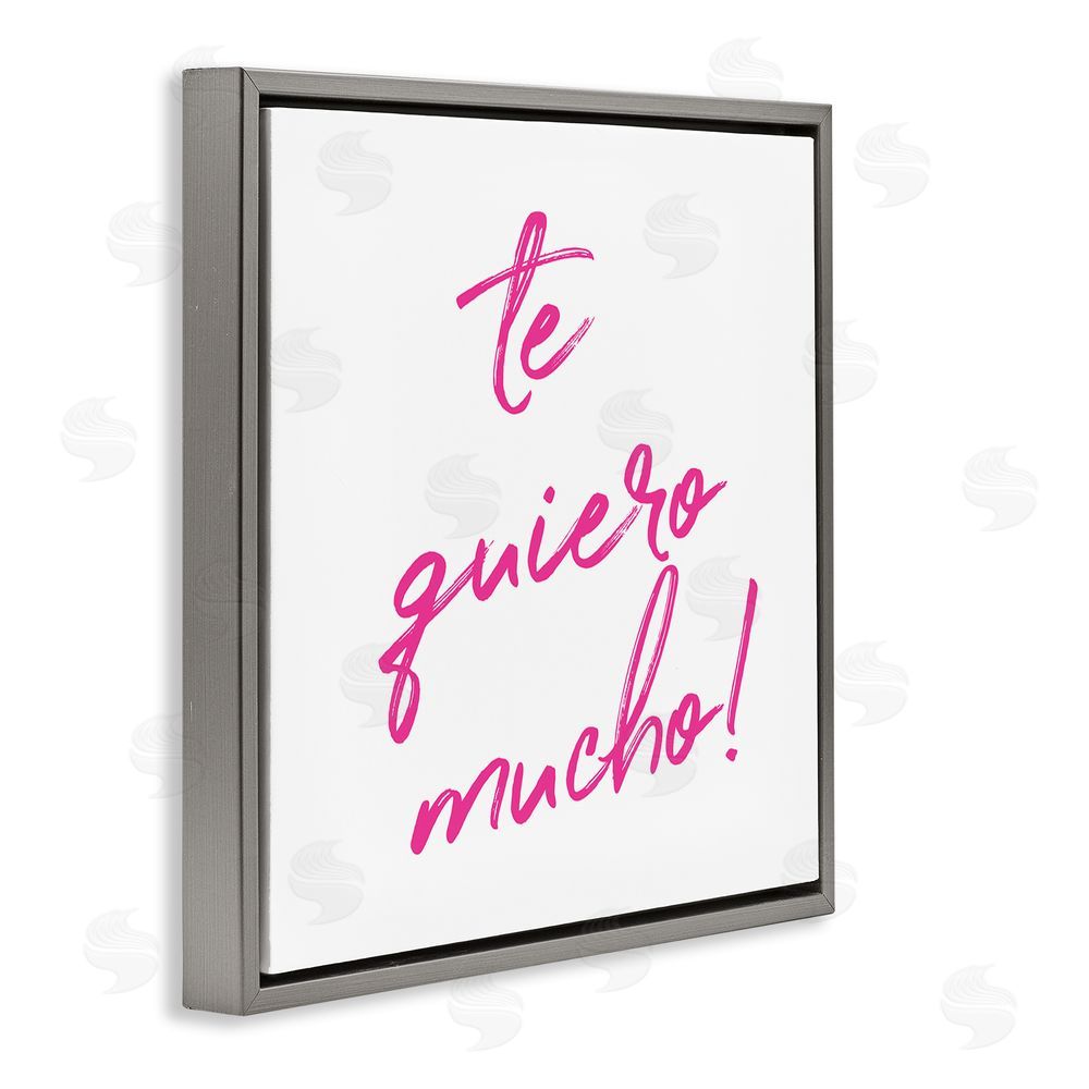 SD Graphics Studio Te Quiero Mucho Rosa Gray Floating Frame Canvas Wall Art Print