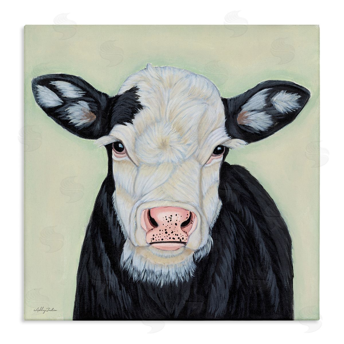 Cow with Spotted Ears Canvas Wall Art, Home Decor by Ashley Justice
