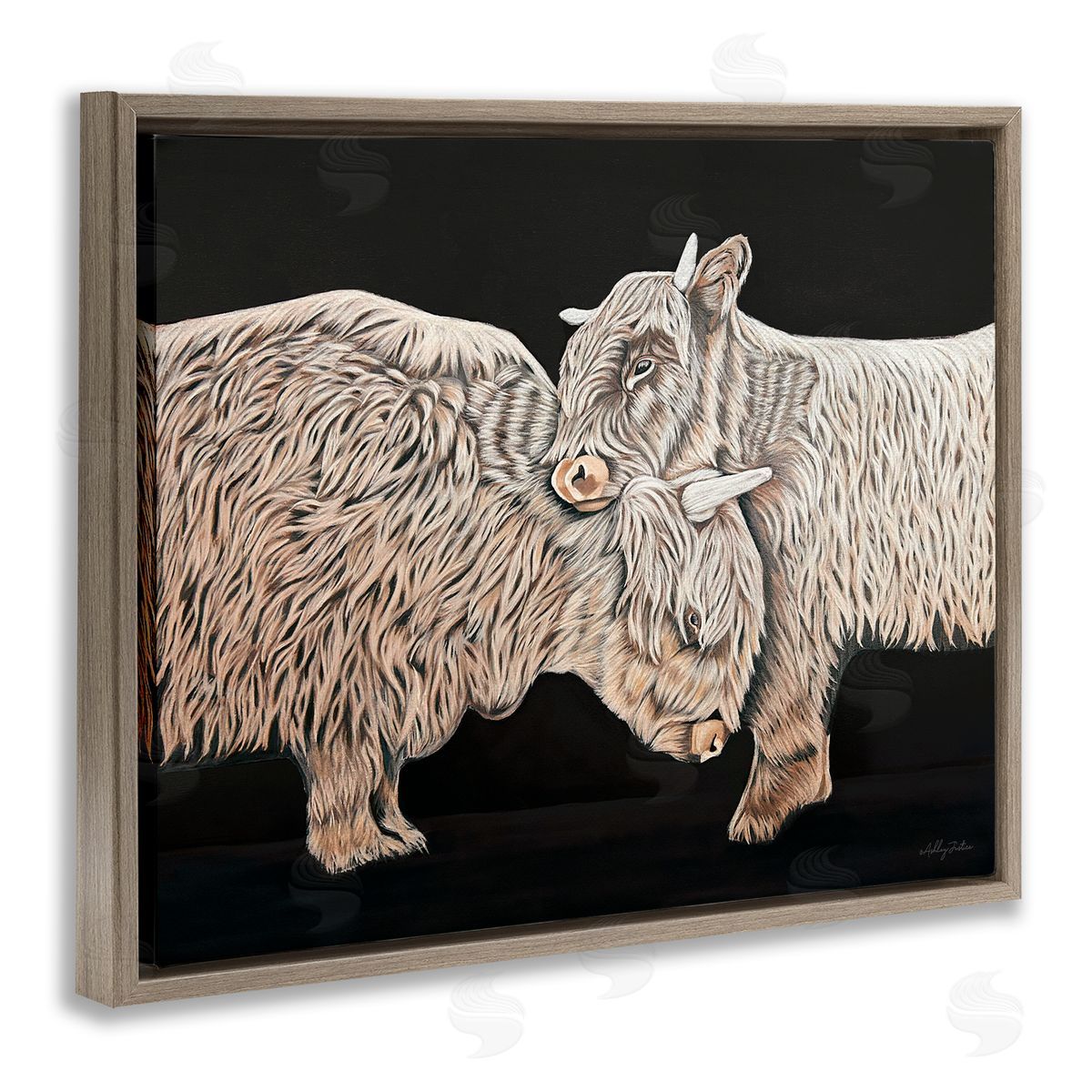 Hugging Cattle on Black Brown Floating Frame Canvas Wall Art, Home Decor by Ashley Justice