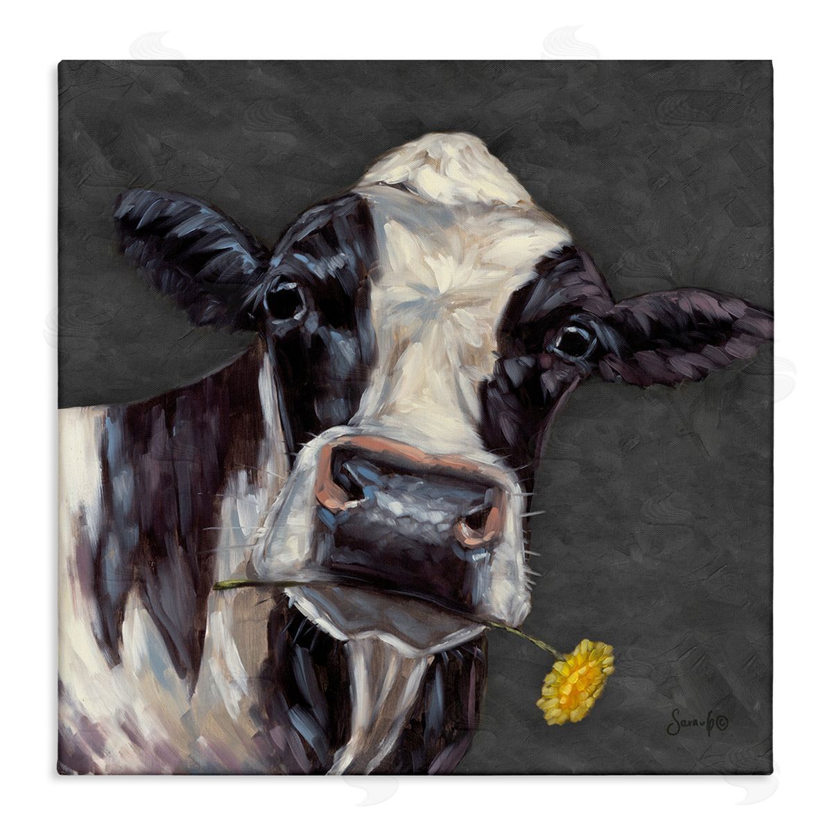 Cow with Yellow Daisy Canvas Wall Art, Home Decor by Sara G. Designs