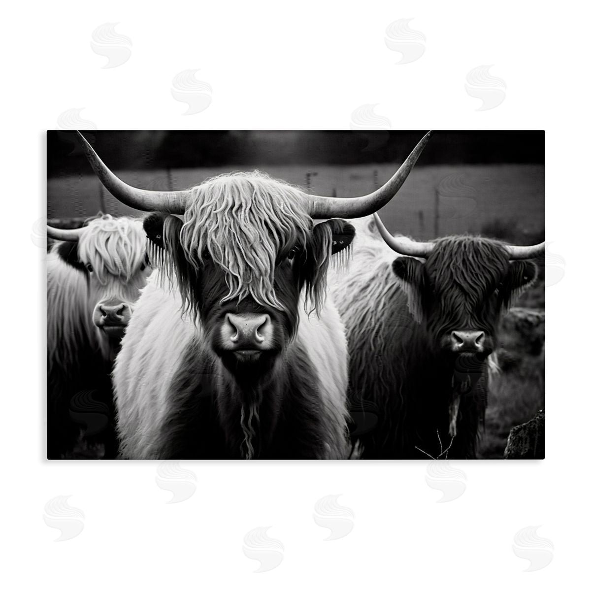 Black & White Highland Cows Canvas Wall Art, Home Decor by Franklyn Gregory