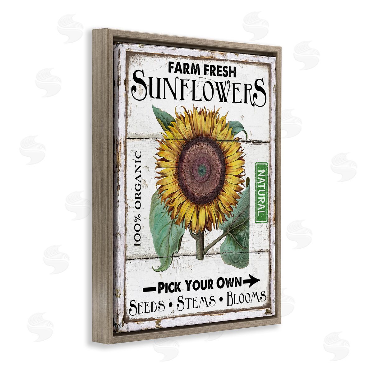 Rustic Farm Fresh Sunflowers Brown Floating Frame Canvas Wall Art, Home Decor by Creatif Belle