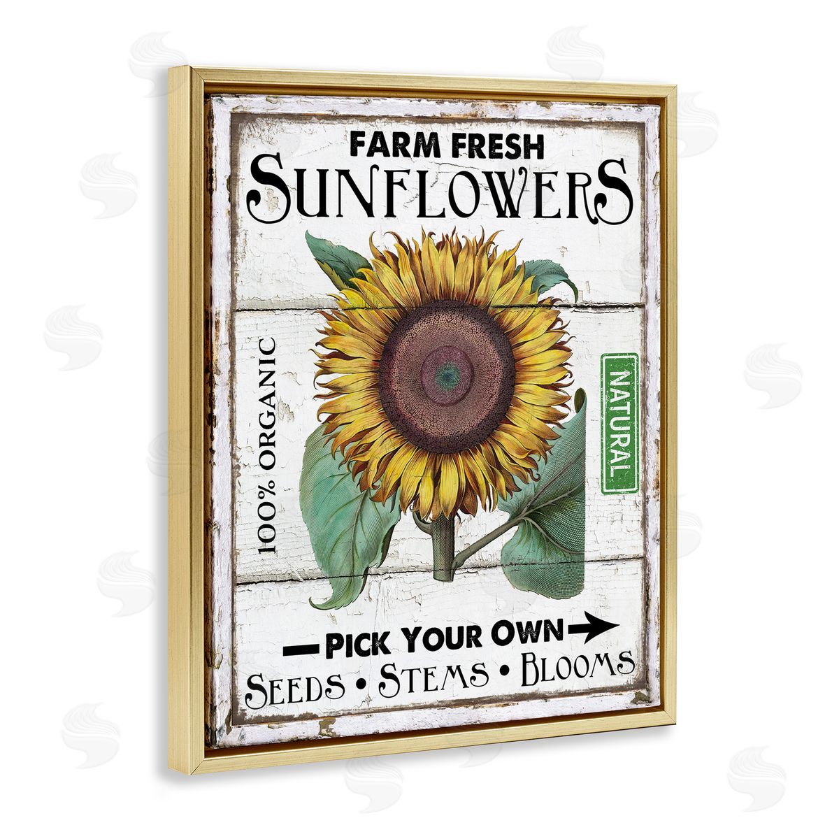 Rustic Farm Fresh Sunflowers Gold Floating Frame Canvas Wall Art, Home Decor by Creatif Belle