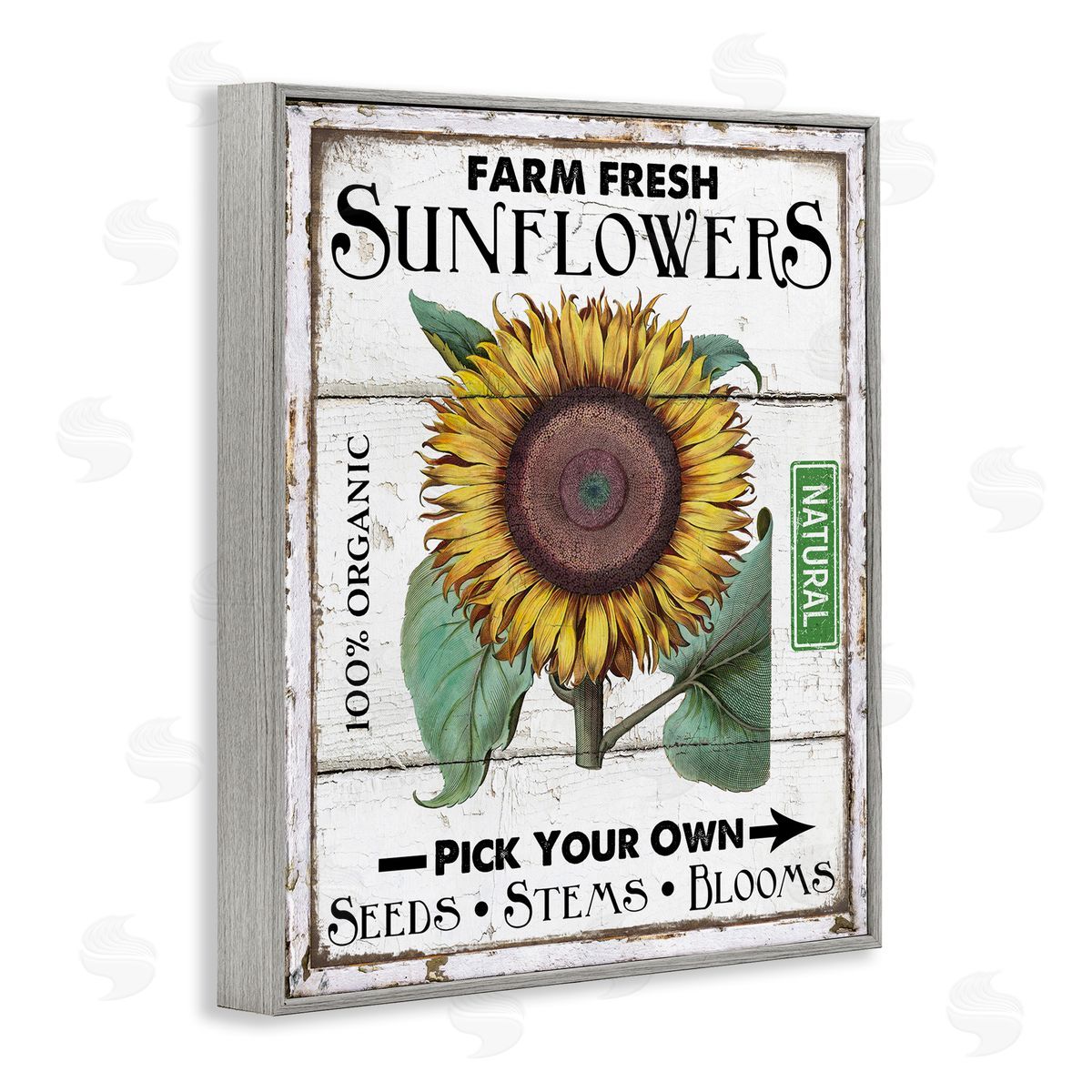 Rustic Farm Fresh Sunflowers Grey Frame Print Wall Art, Home Decor by Creatif Belle