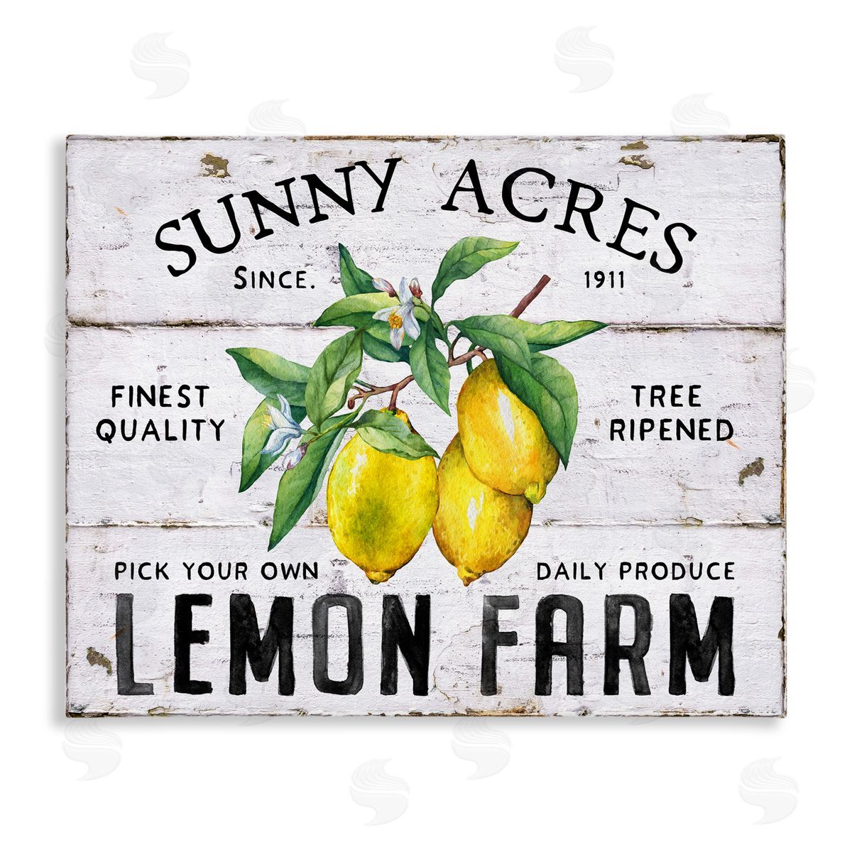 Sunny Acres Lemon Farm Canvas Wall Art, Home Decor by Creatif Belle