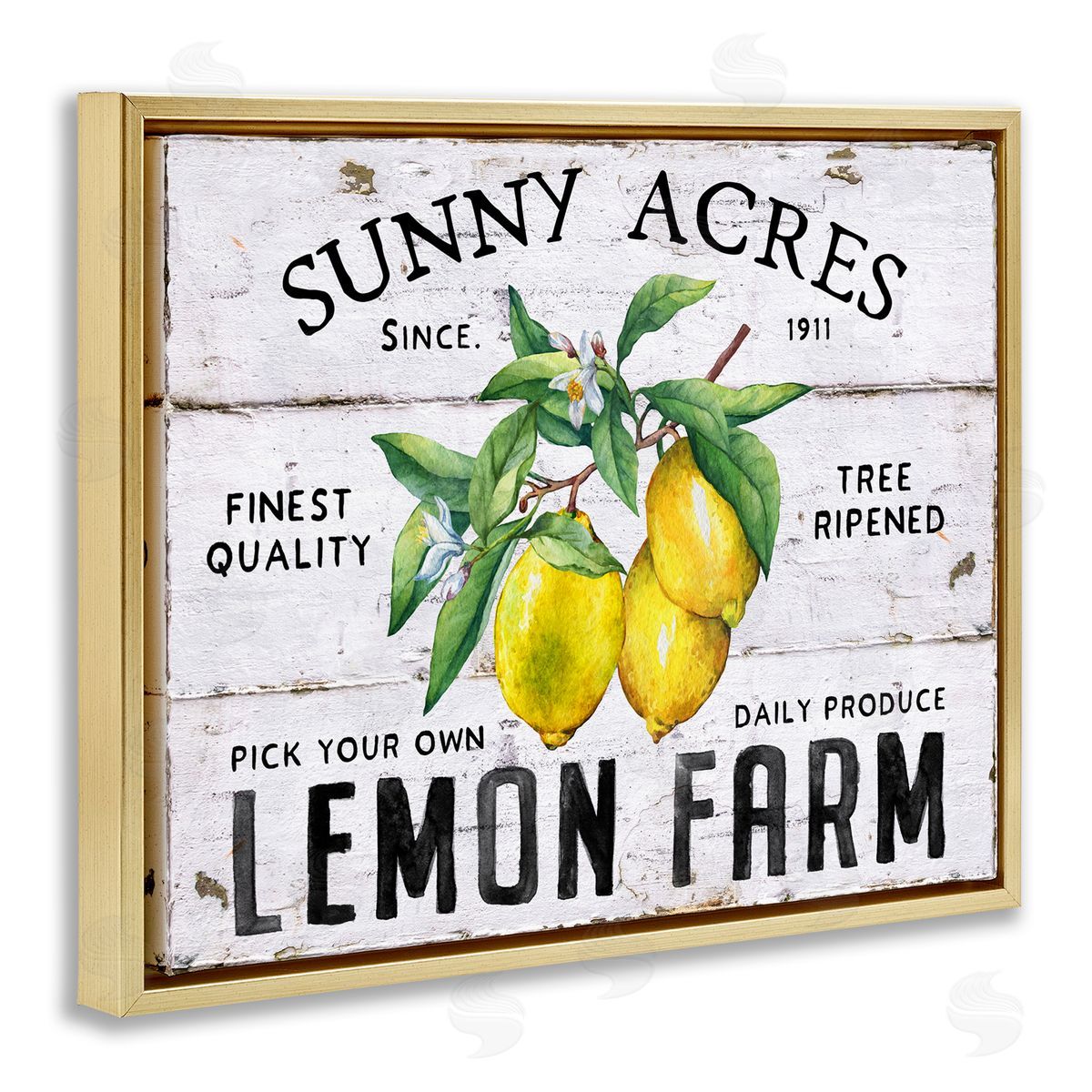 Sunny Acres Lemon Farm Gold Floating Frame Canvas Wall Art, Home Decor by Creatif Belle