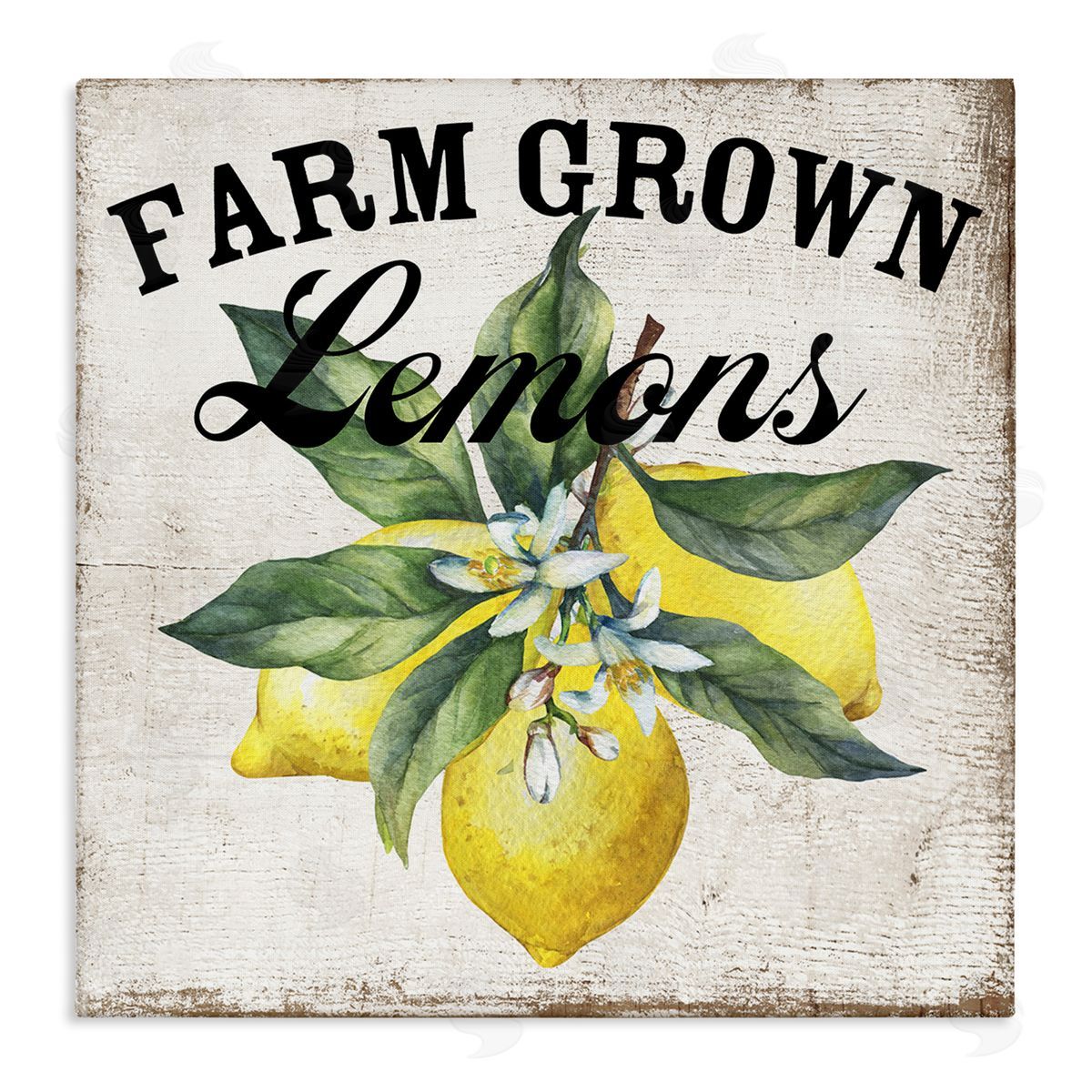 Farm Grown Lemons Canvas Wall Art, Home Decor by Creatif Belle