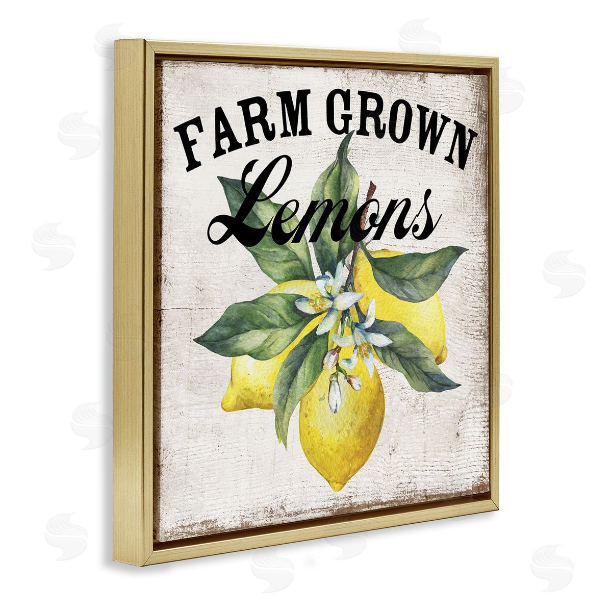 Farm Grown Lemons Gold Floating Frame Canvas Wall Art, Home Decor by Creatif Belle