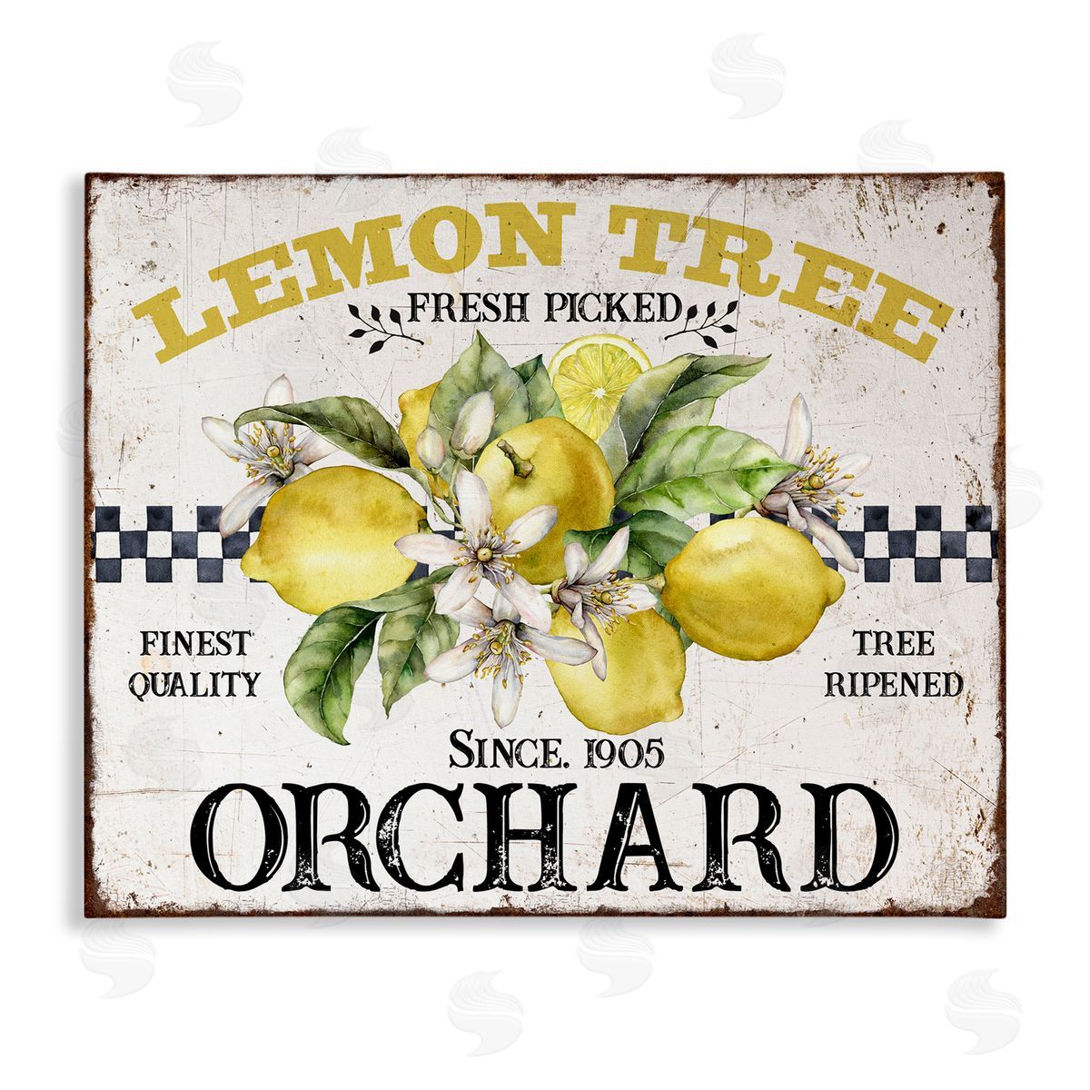 Lemon Tree Fresh Picked Canvas Wall Art, Home Decor by Creatif Belle