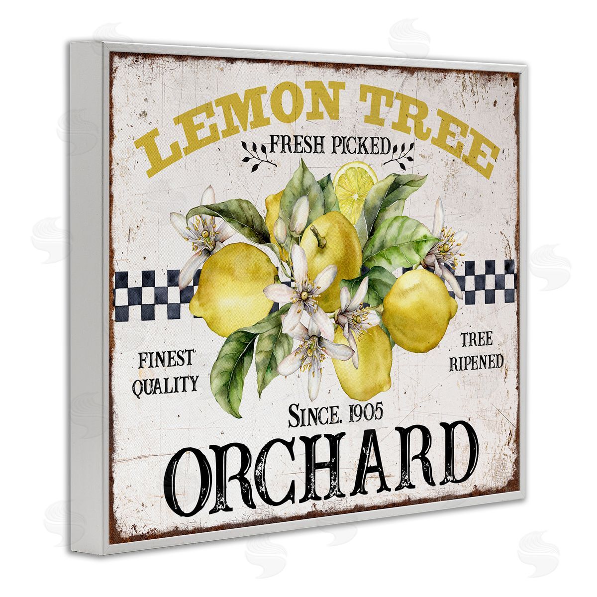Lemon Tree Fresh Picked White Frame Print Wall Art, Home Decor by Creatif Belle