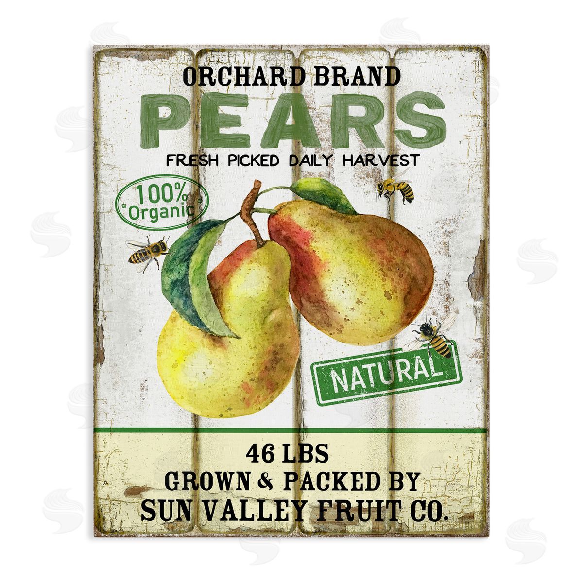 Farm Orchard Pears Canvas Wall Art, Home Decor by Creatif Belle
