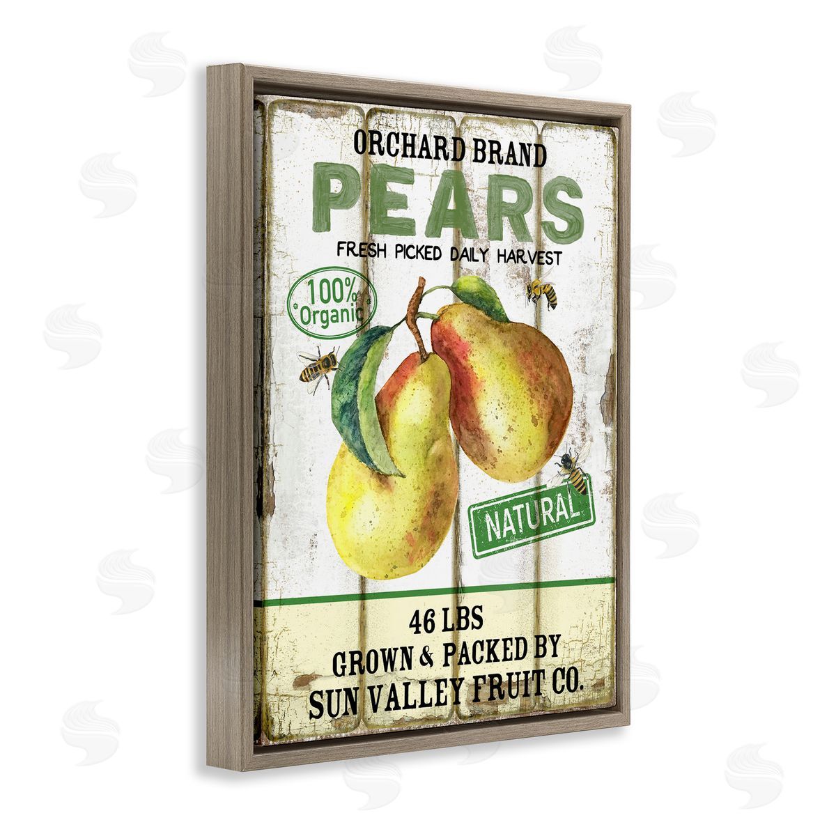 Farm Orchard Pears Brown Floating Frame Canvas Wall Art, Home Decor by Creatif Belle
