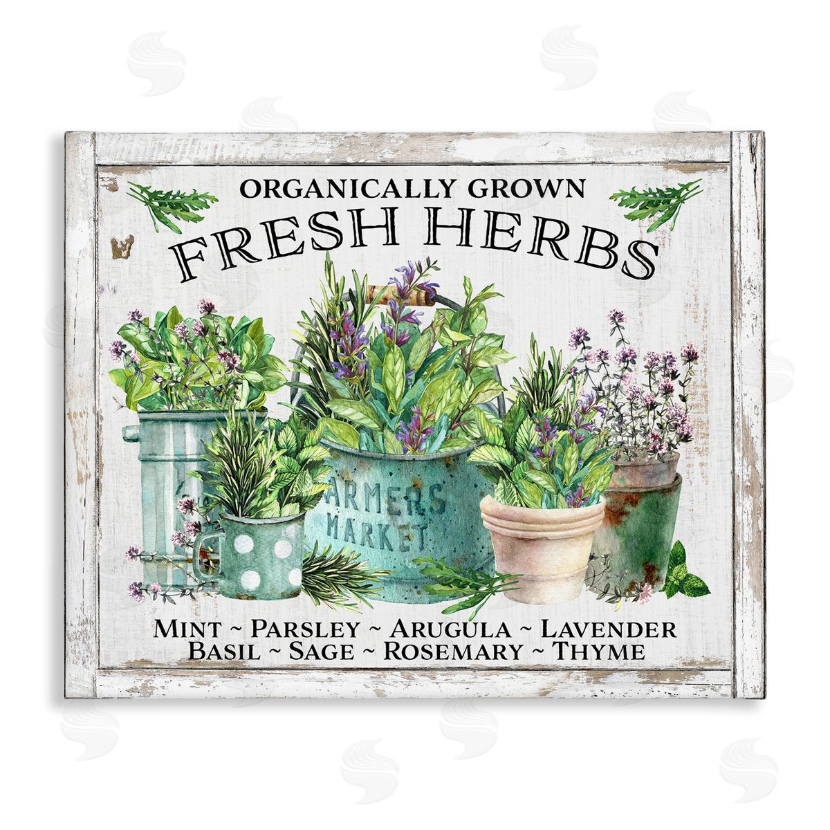 Organic Fresh Herbs Canvas Wall Art, Home Decor by Creatif Belle