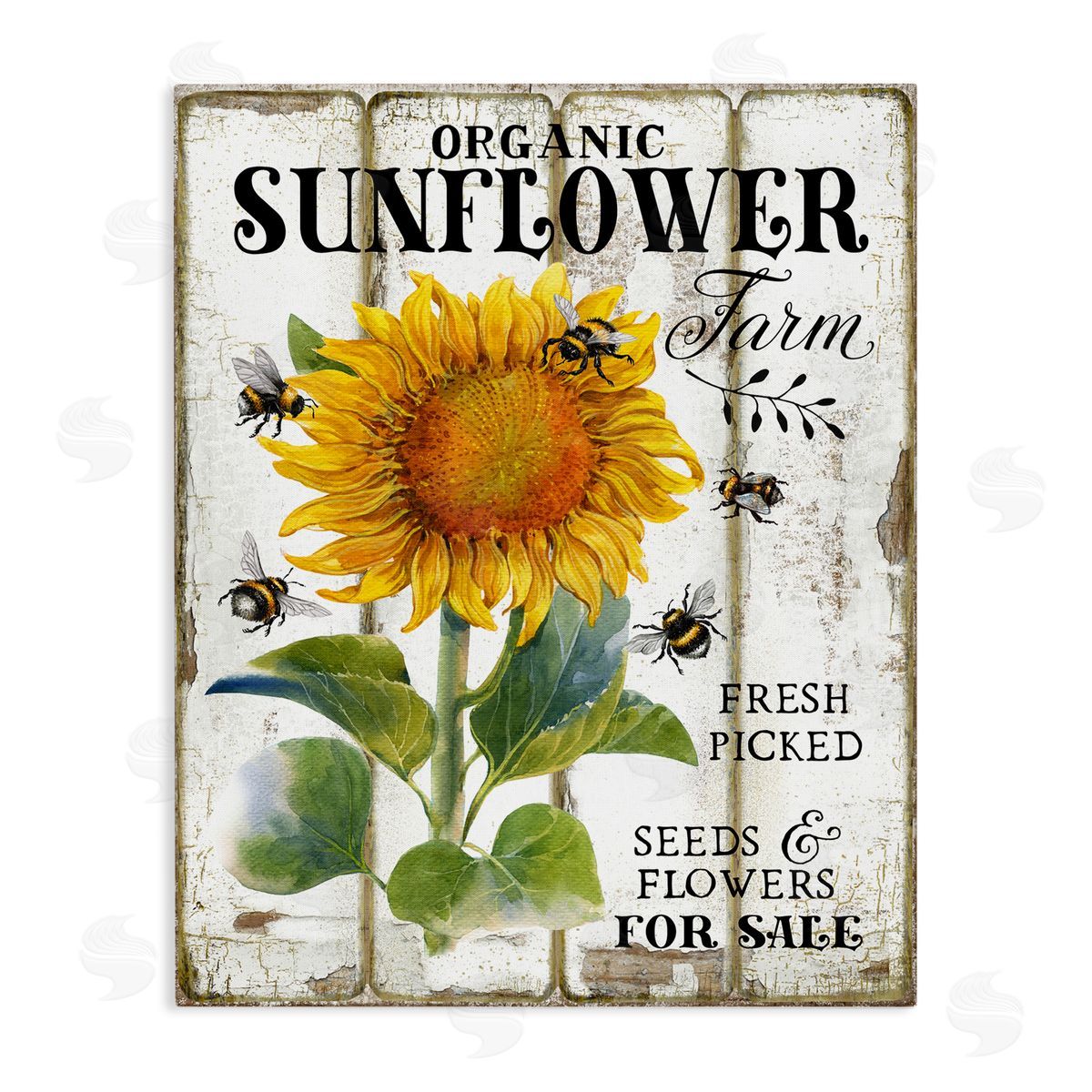 Organic Sunflower Farm Canvas Wall Art, Home Decor by Creatif Belle