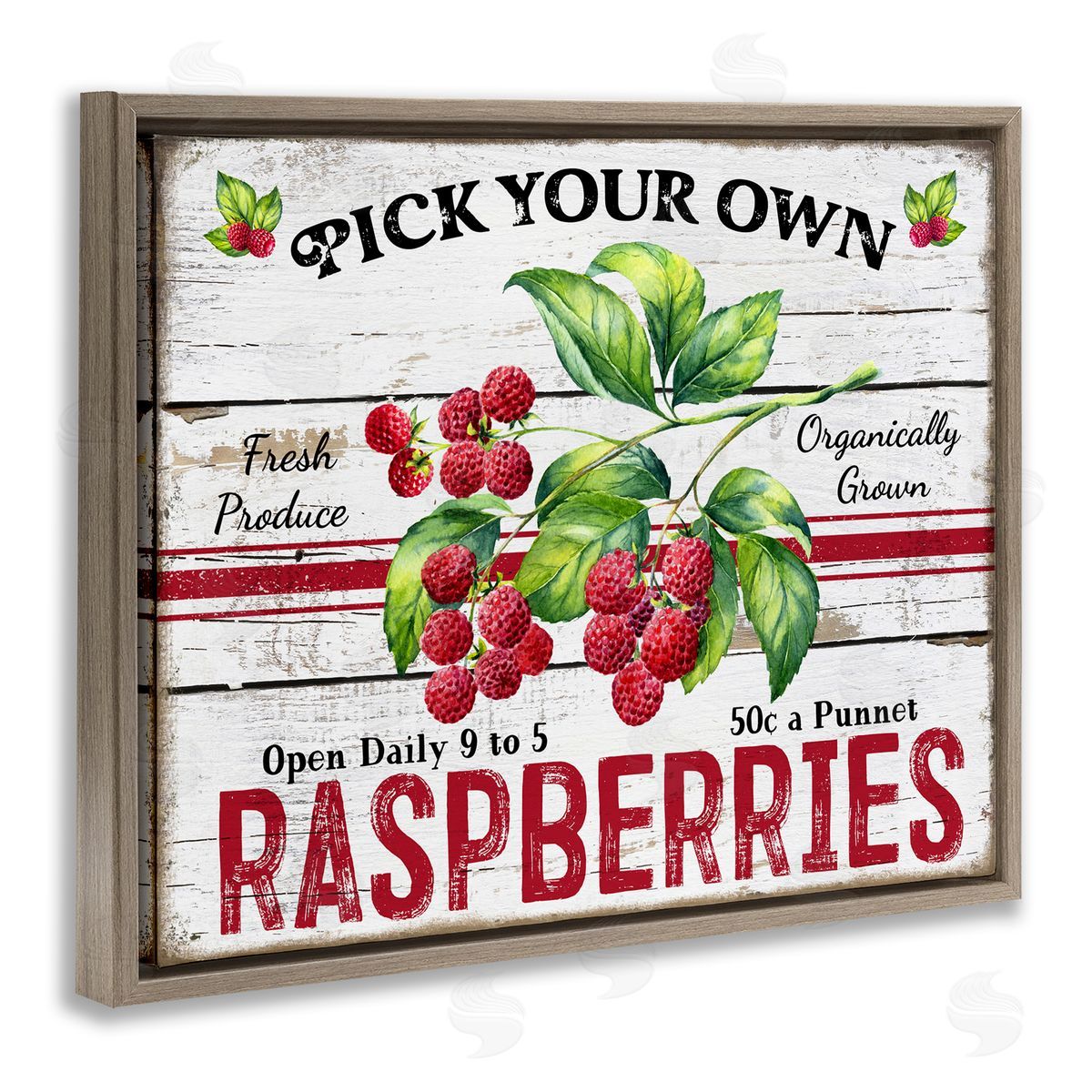 Pick Your Own Raspberries Brown Floating Frame Canvas Wall Art, Home Decor by Creatif Belle