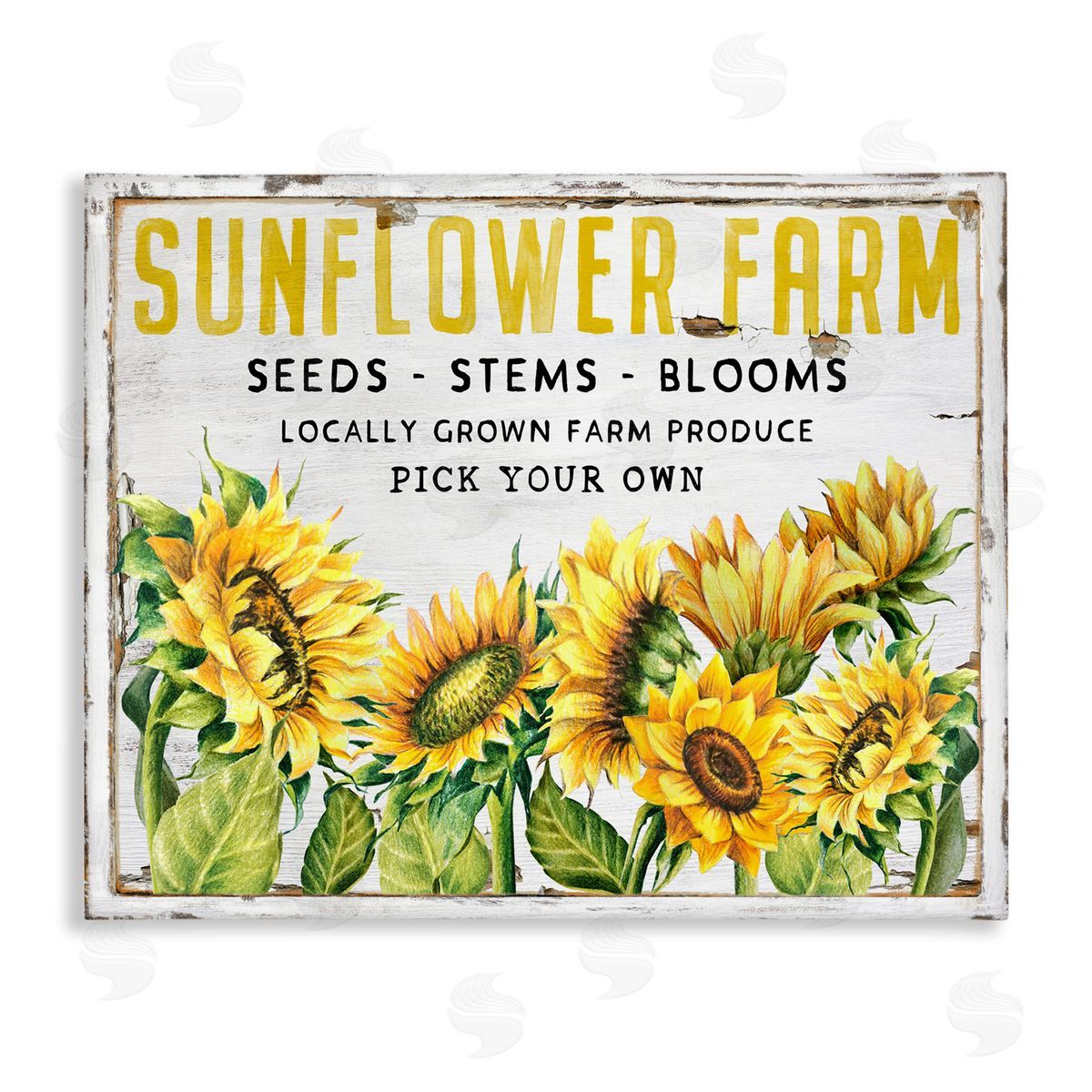 Antique Sunflower Seeds Canvas Wall Art, Home Decor by Creatif Belle