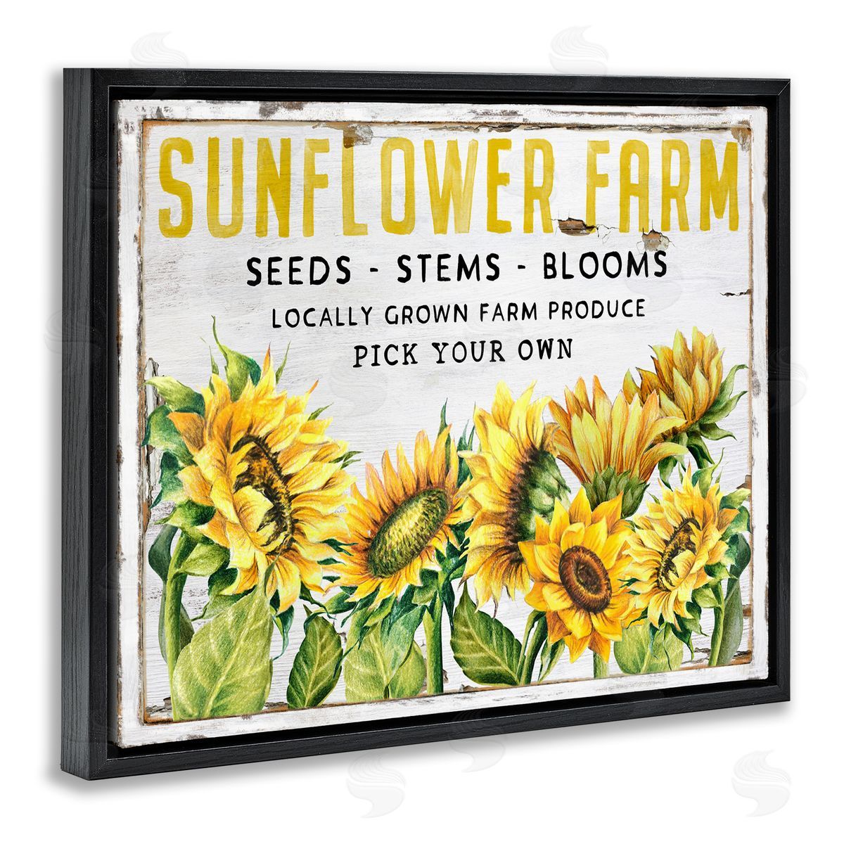 Antique Sunflower Seeds Black Floating Frame Canvas Wall Art, Home Decor by Creatif Belle