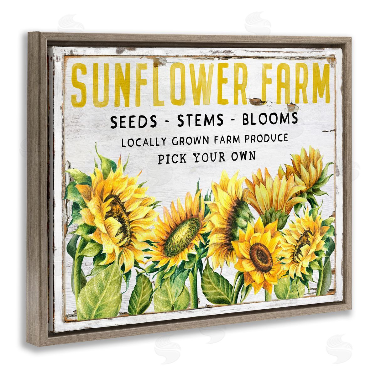 Antique Sunflower Seeds Brown Floating Frame Canvas Wall Art, Home Decor by Creatif Belle