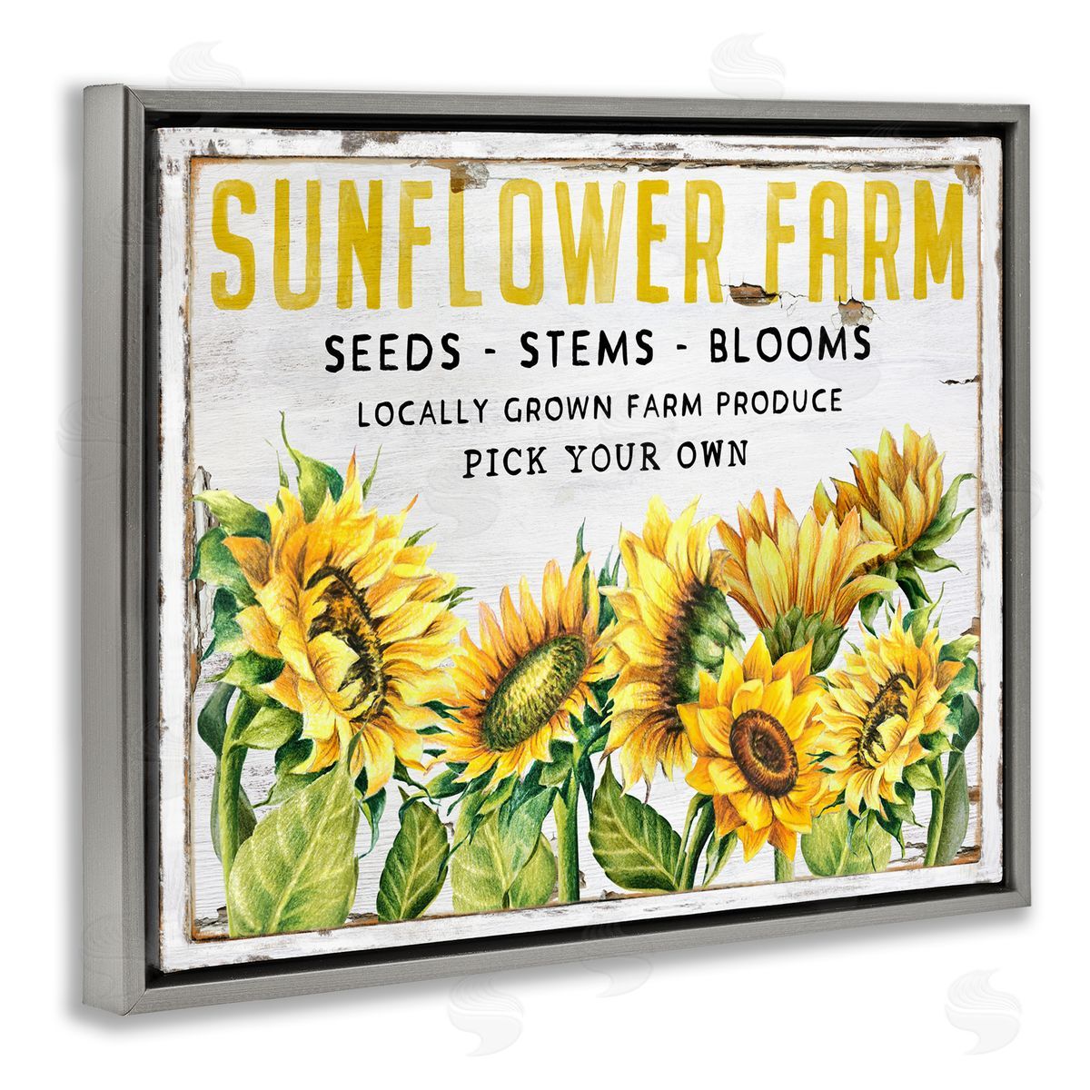 Antique Sunflower Seeds Grey Floating Frame Canvas Wall Art, Home Decor by Creatif Belle