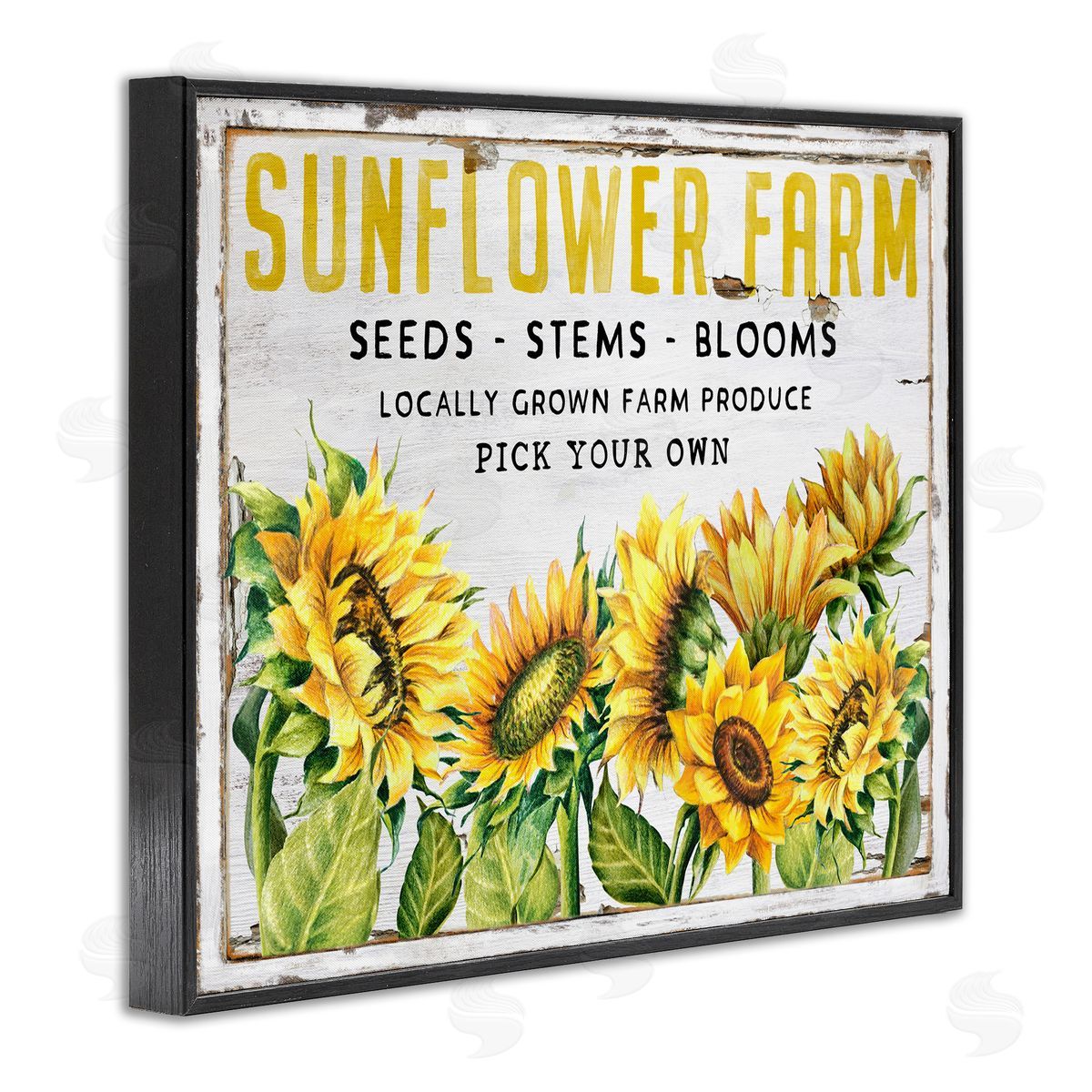 Antique Sunflower Seeds Black Frame Print Wall Art, Home Decor by Creatif Belle