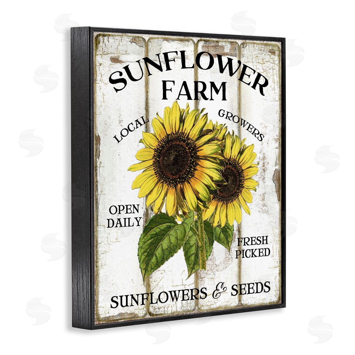 Antique Sunflower Farm Seeds Black Frame Print Wall Art, Home Decor by Creatif Belle