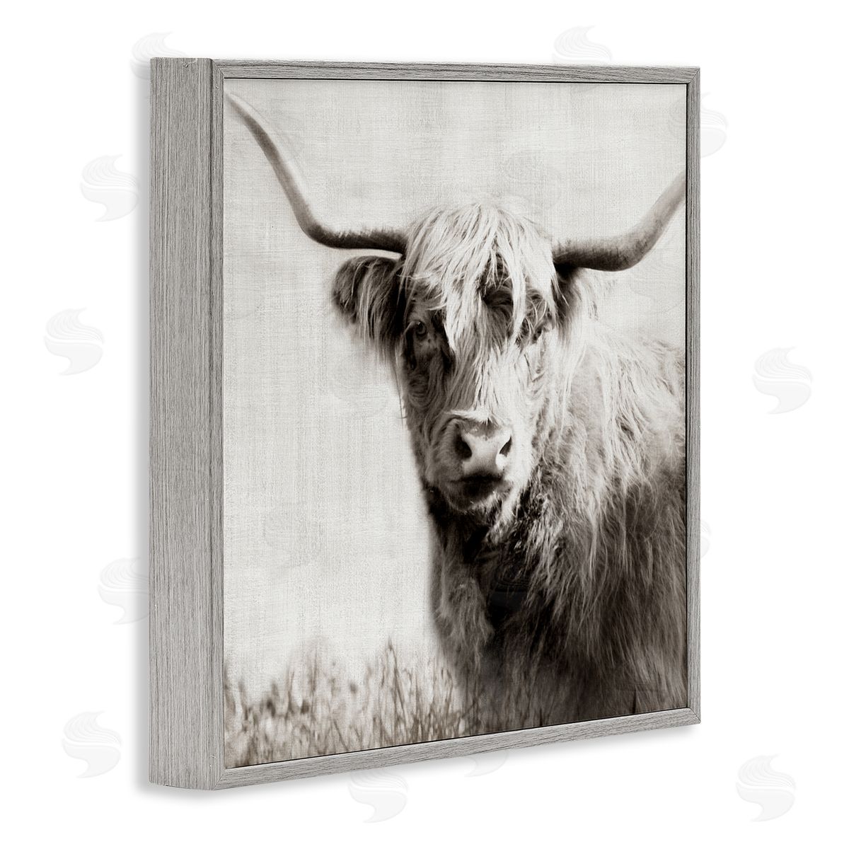 Black & White Highland Cow Grey Frame Print Wall Art, Home Decor by Danita Delimont