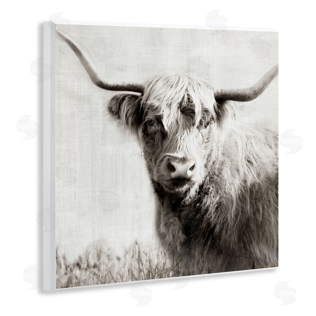 Black & White Highland Cow Wood Plaque Wall Art, Home Decor by Danita Delimont
