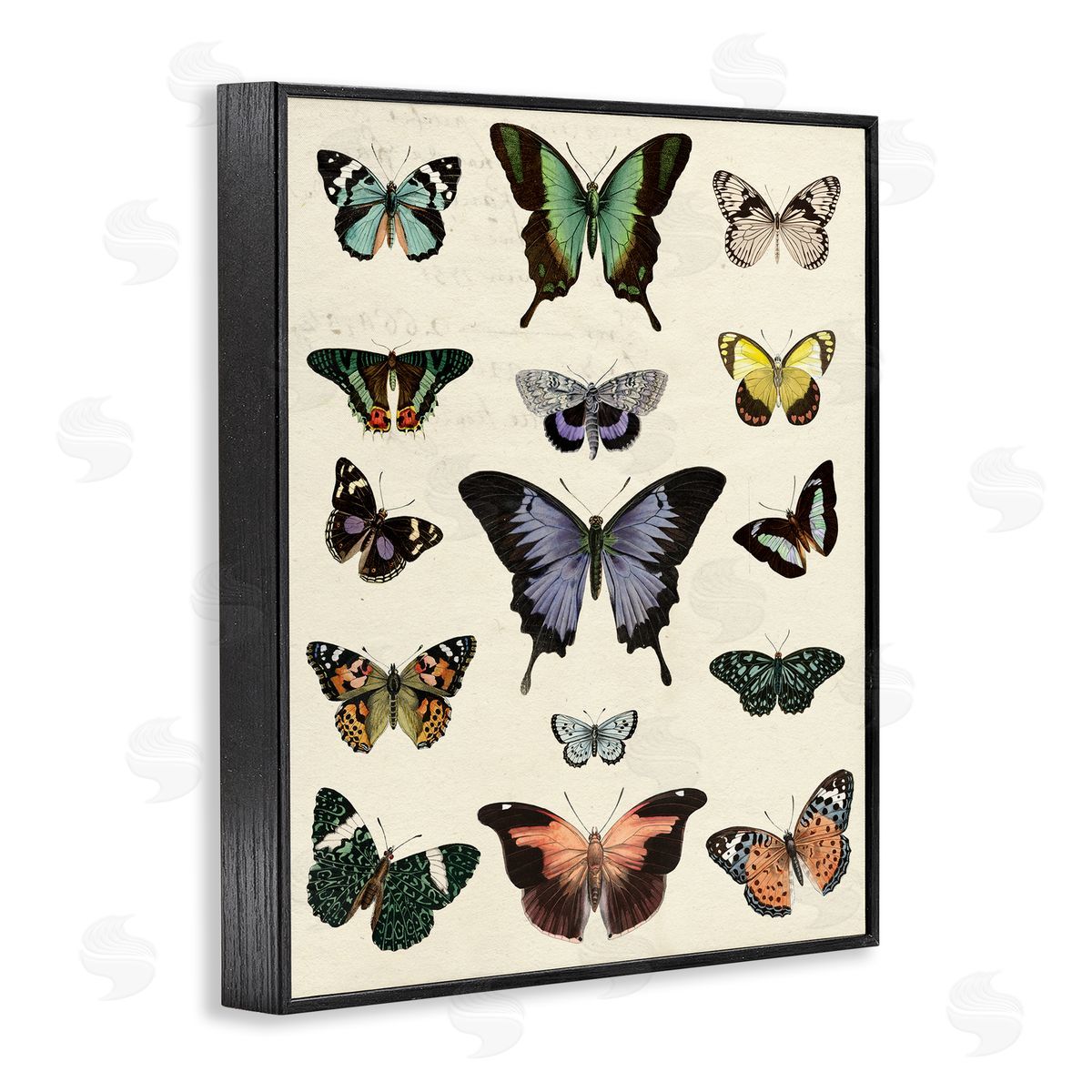Varied Vintage Butterflies Black Frame Print Wall Art, Home Decor by Susan Arnot