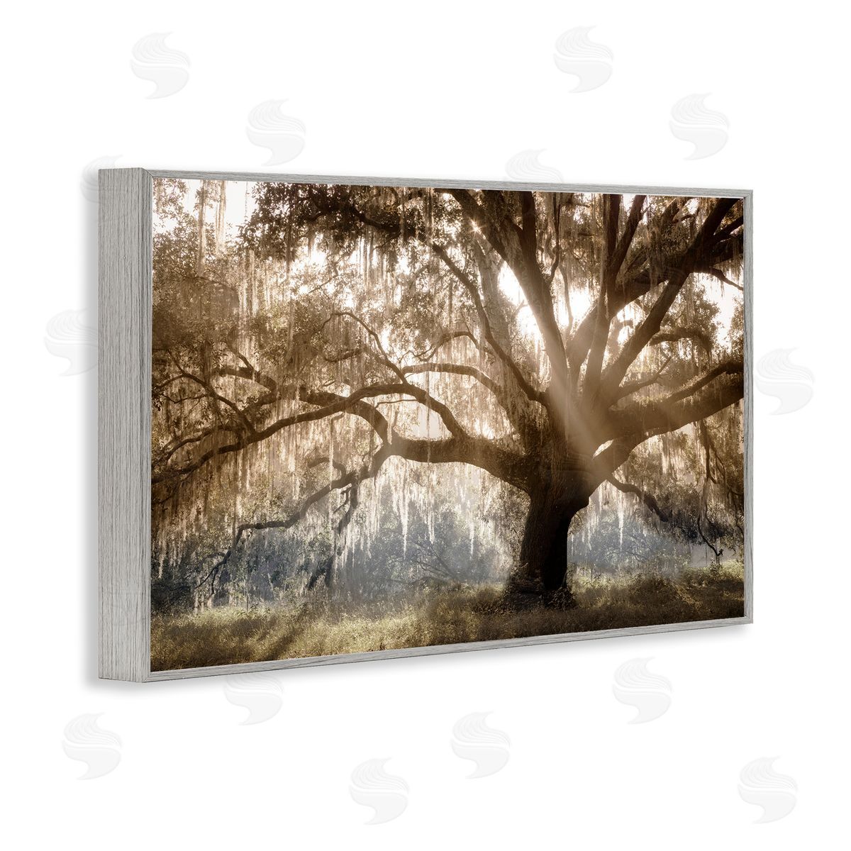 Sun Streak Through Tree Grey Frame Print Wall Art, Home Decor by Danita Delimont