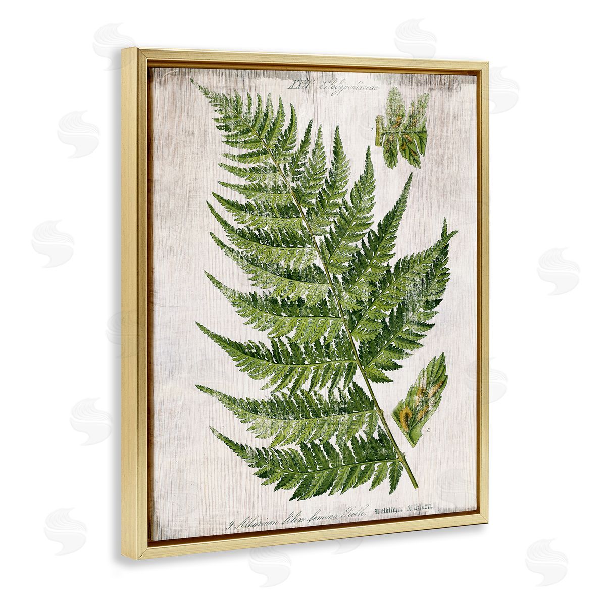 Distressed Fern Leaf Gold Floating Frame Canvas Wall Art, Home Decor by Susan Arnot