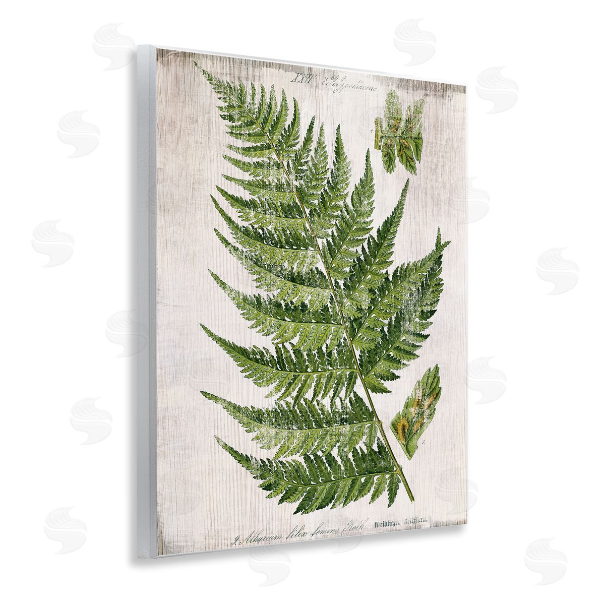 Distressed Fern Leaf Wood Plaque Wall Art, Home Decor by Susan Arnot
