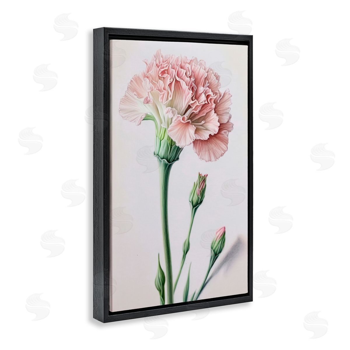 Pale Carnation Budding Black Floating Frame Canvas Wall Art, Home Decor by Incado