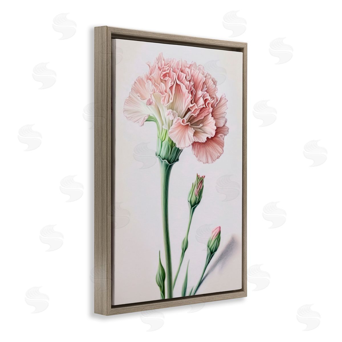 Pale Carnation Budding Brown Floating Frame Canvas Wall Art, Home Decor by Incado