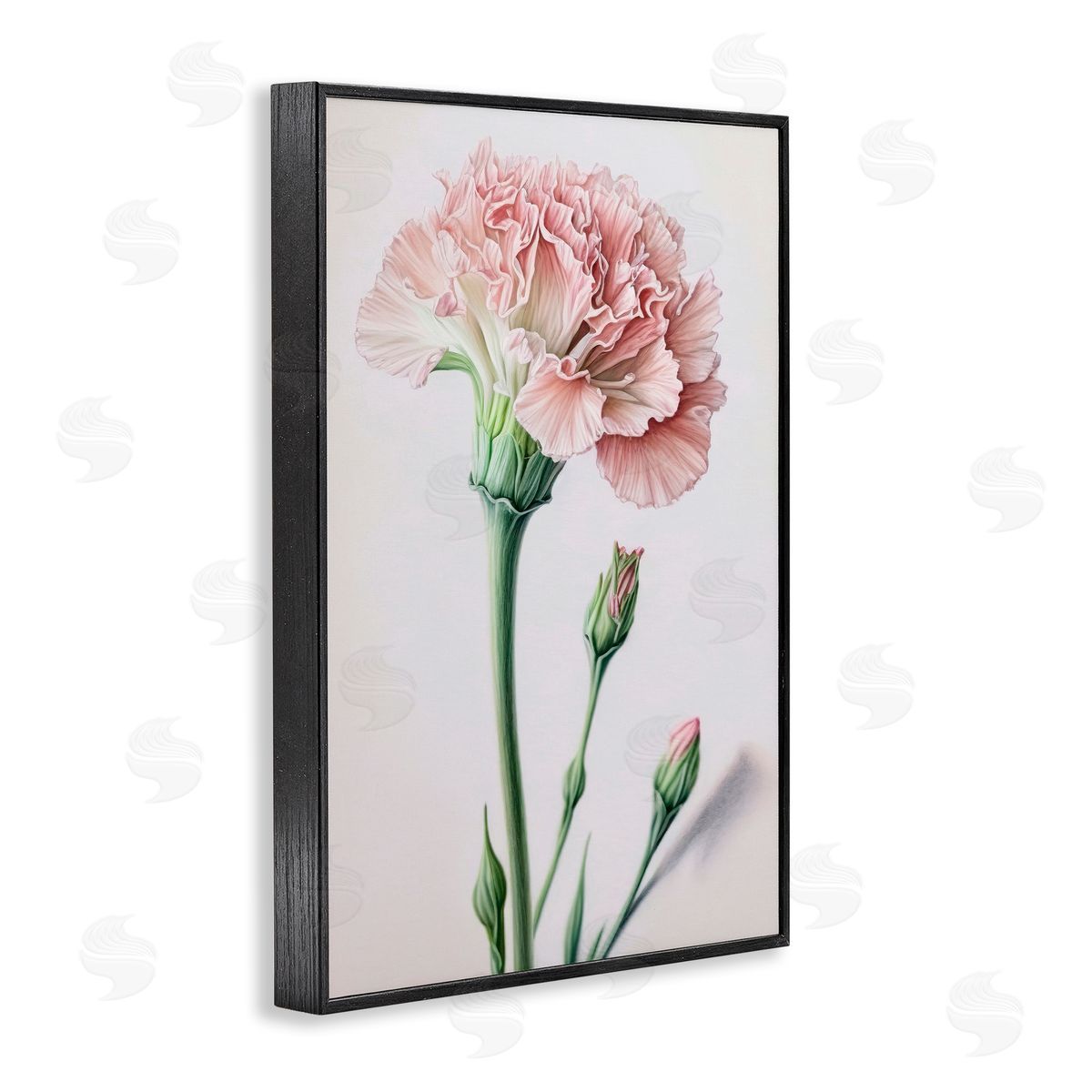 Pale Carnation Budding Black Frame Print Wall Art, Home Decor by Incado