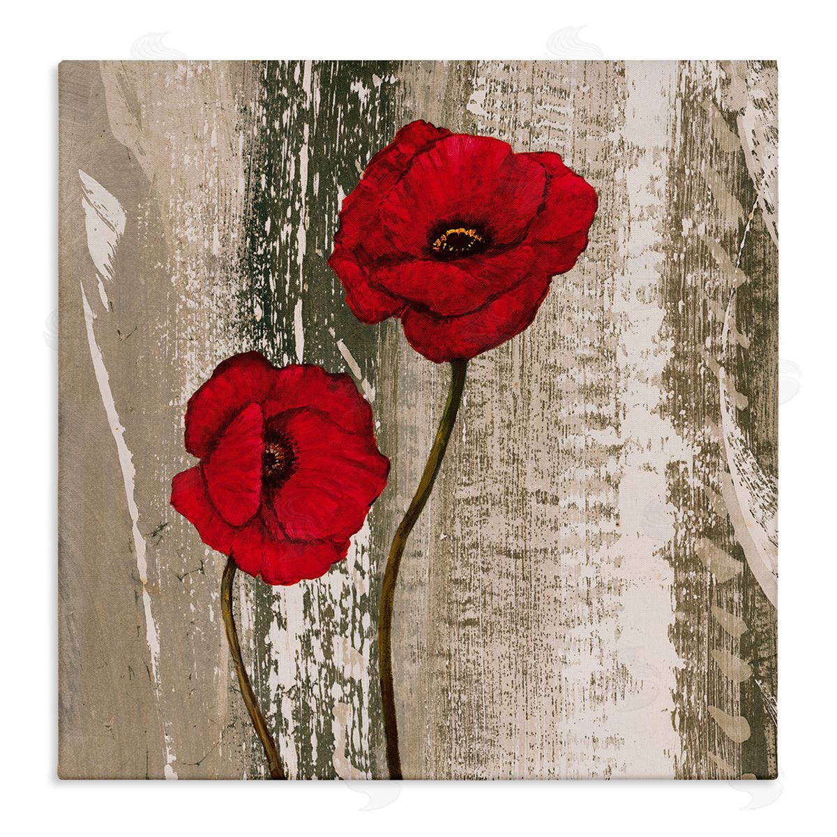Rustic Red Anemones Canvas Wall Art, Home Decor by Brian Foster