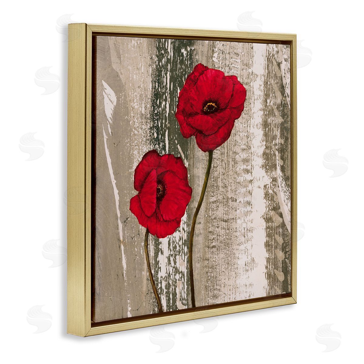 Rustic Red Anemones Gold Floating Frame Canvas Wall Art, Home Decor by Brian Foster
