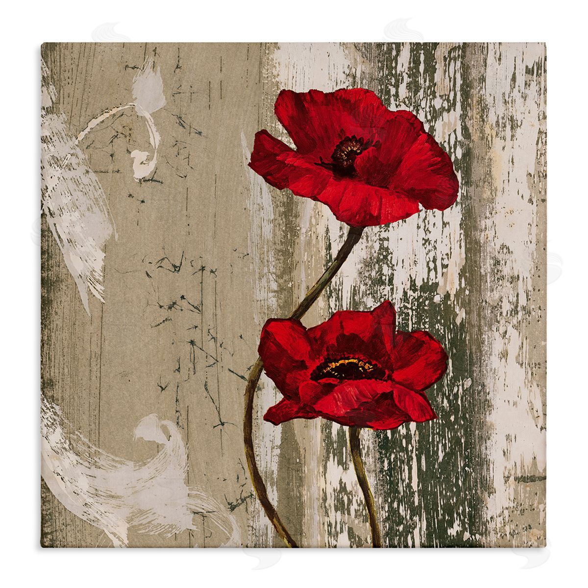 Red Anemones Duo Canvas Wall Art, Home Decor by Brian Foster