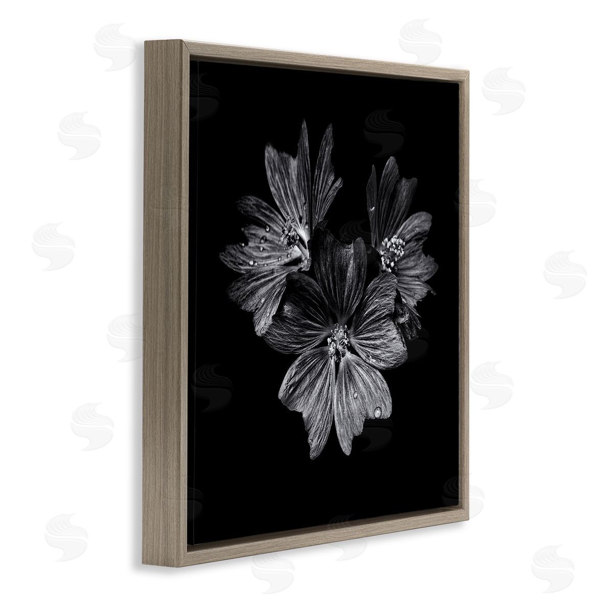 Blossom Trio on Black Brown Floating Frame Canvas Wall Art, Home Decor by Brian Carson