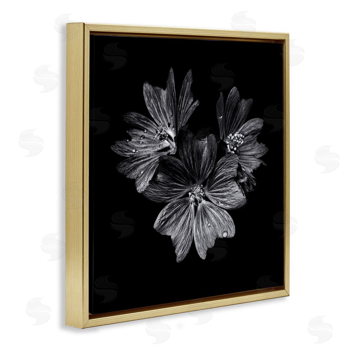 Blossom Trio on Black Gold Floating Frame Canvas Wall Art, Home Decor by Brian Carson