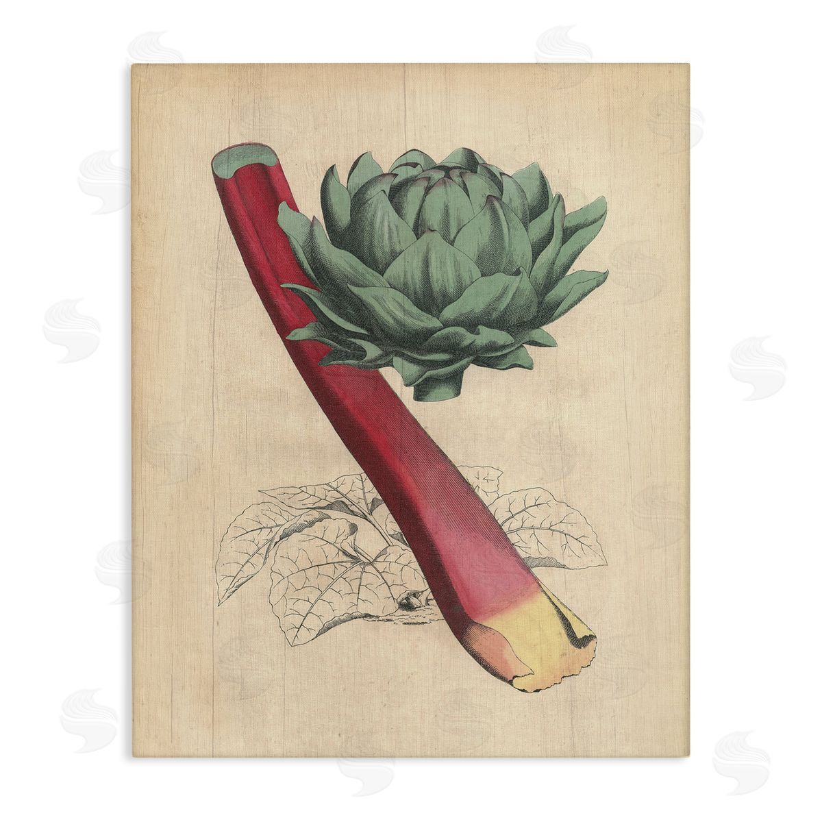 Vintage Vegetable Studies Canvas Wall Art, Home Decor by Stupell Studio