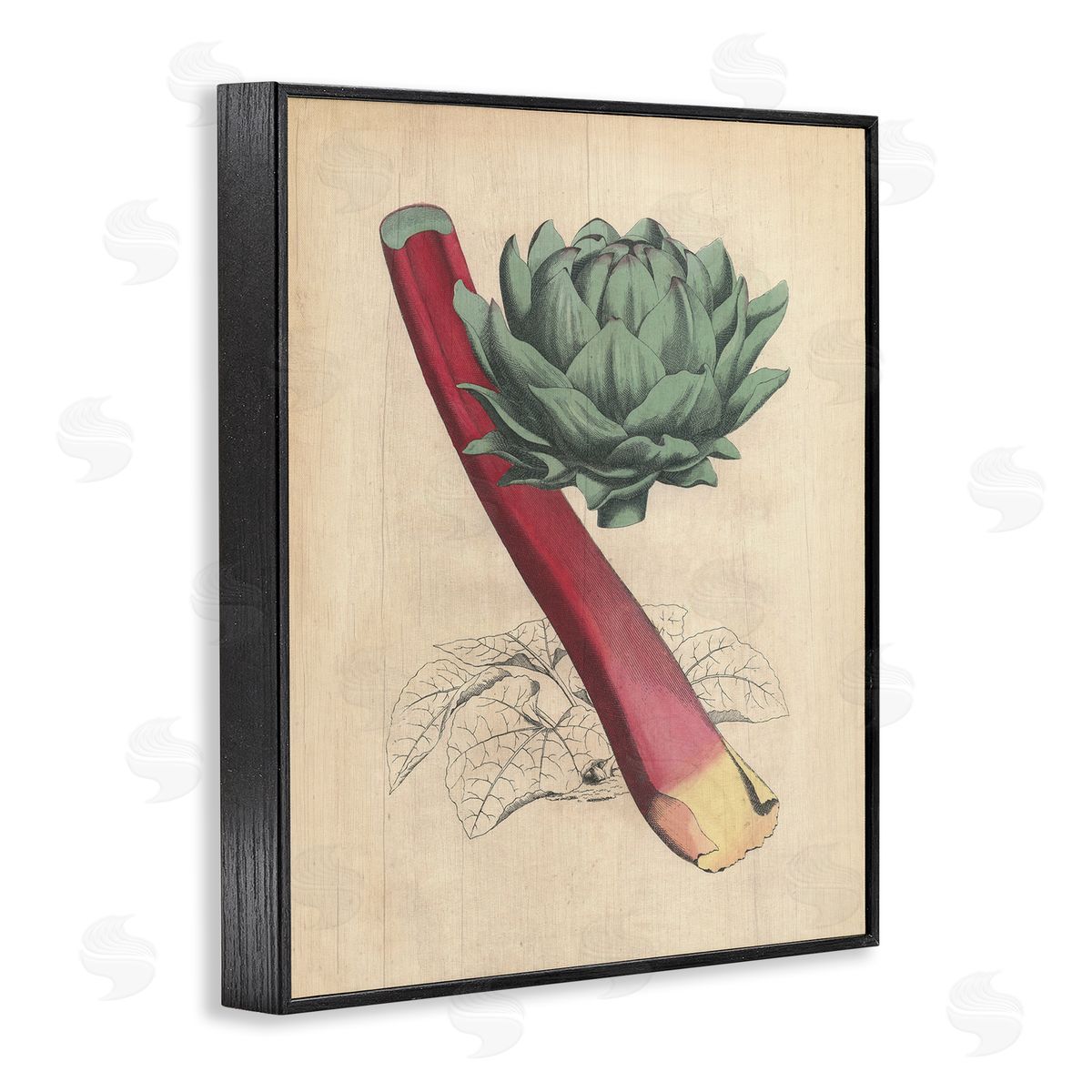 Vintage Vegetable Studies Black Frame Print Wall Art, Home Decor by Stupell Studio
