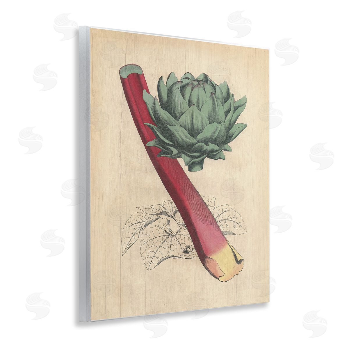 Vintage Vegetable Studies Wood Plaque Wall Art, Home Decor by Stupell Studio